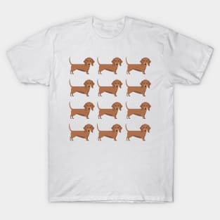 Brown Dachshund dog breed cute pattern T-Shirt